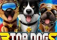 3 Top Dogs game thumbnail